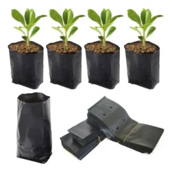 Alternative view of Maceta Bolsa Cultivo 12 X 12 500 Unidades