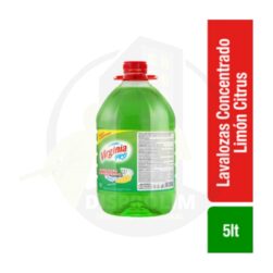Virginia Lavalozas Concentrado Limón Citrus 5l